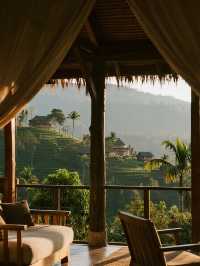 12月西雙版納|南糯山匠廬親子遊攻略