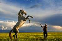 天馬浴河觀景全攻略