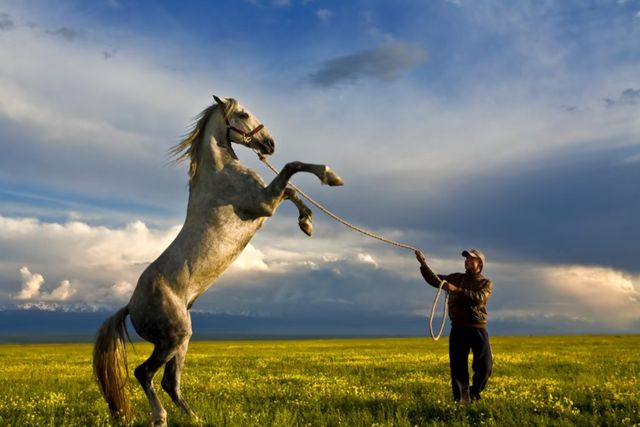 天馬浴河觀景全攻略 天馬浴河觀景全攻略