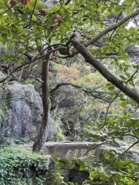 縱覽雲飛石~空中觀景台