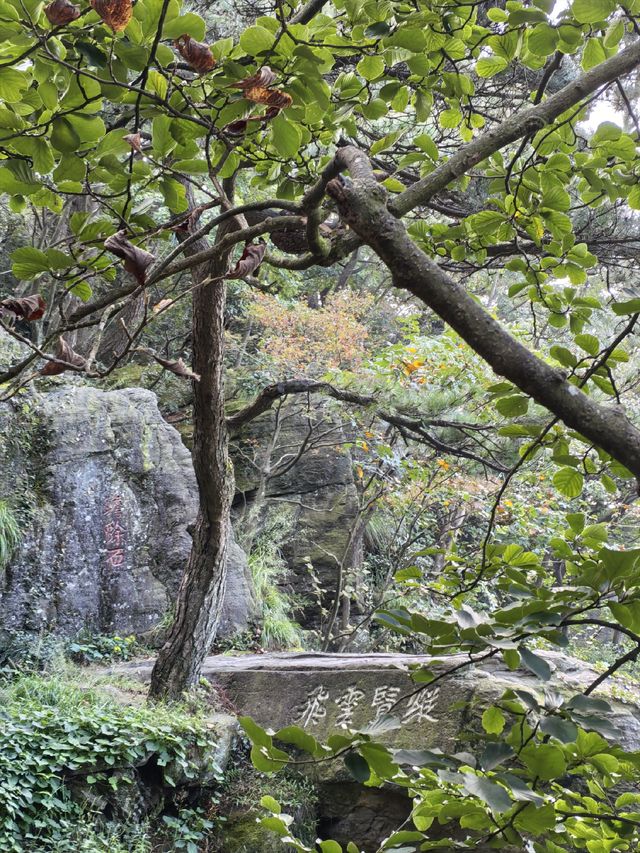 縱覽雲飛石~空中觀景台 縱覽雲飛石~空中觀景台