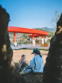 就在深圳超愛的免費寶藏遛娃地，超chill