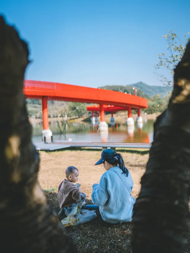 就在深圳超愛的免費寶藏遛娃地，超chill