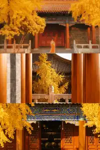 巨出片西安嚴重被低估的皇家寺院