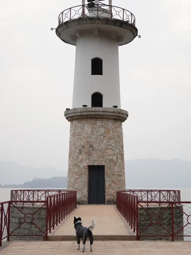 小狗和小馬一起低頭可愛鼠了！