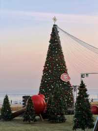 秦皇島|在如是海赴一場冬日海邊的聖誕之約