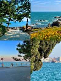 青島0元打卡清單紅瓦綠樹海風吹,這些免費景點絕了!