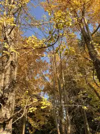 德陽｜石刻公園