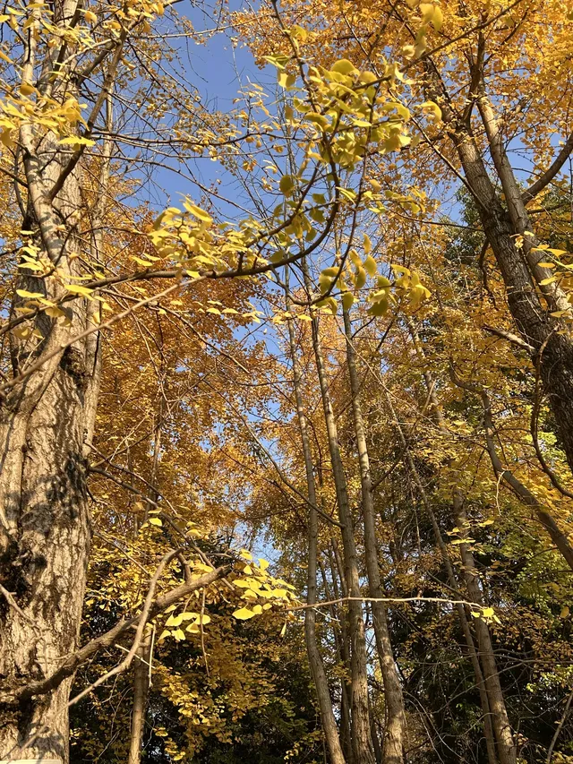 德陽｜石刻公園