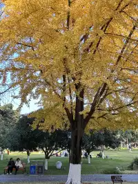德陽｜石刻公園