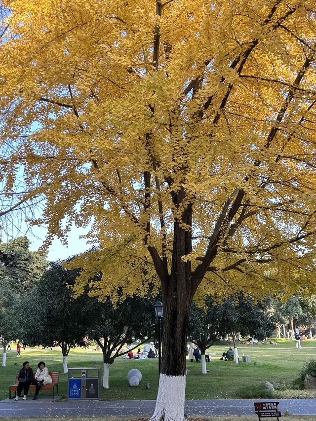 德陽｜石刻公園