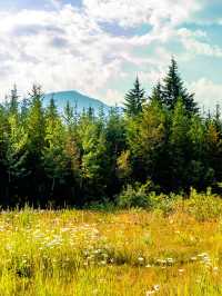 加拿大10天｜保姆級玩法避雷指南