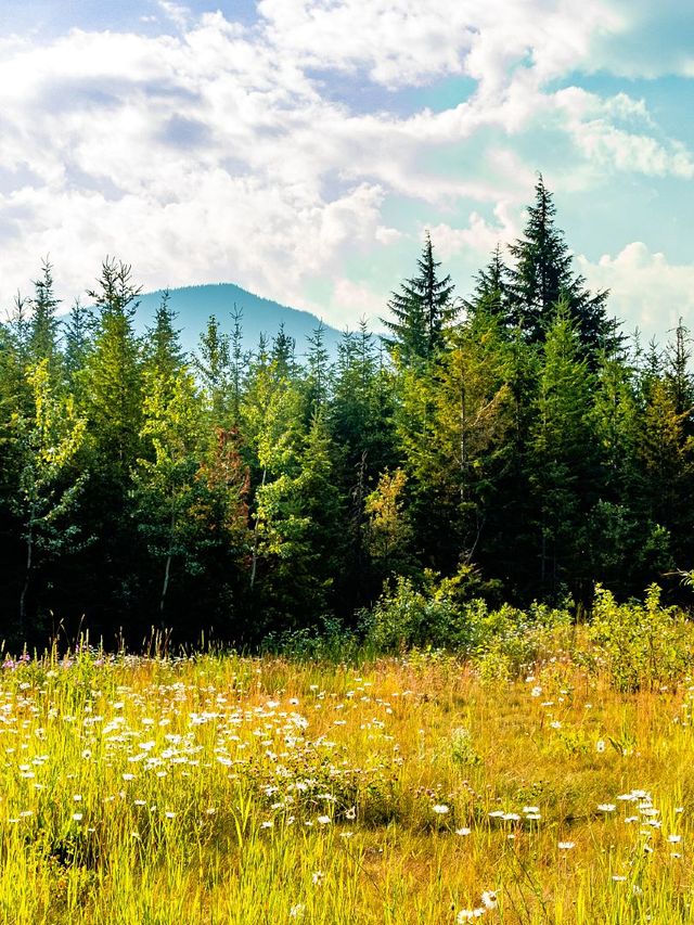 加拿大10天｜保姆級玩法避雷指南