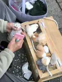 湖州我真要愛上你了...