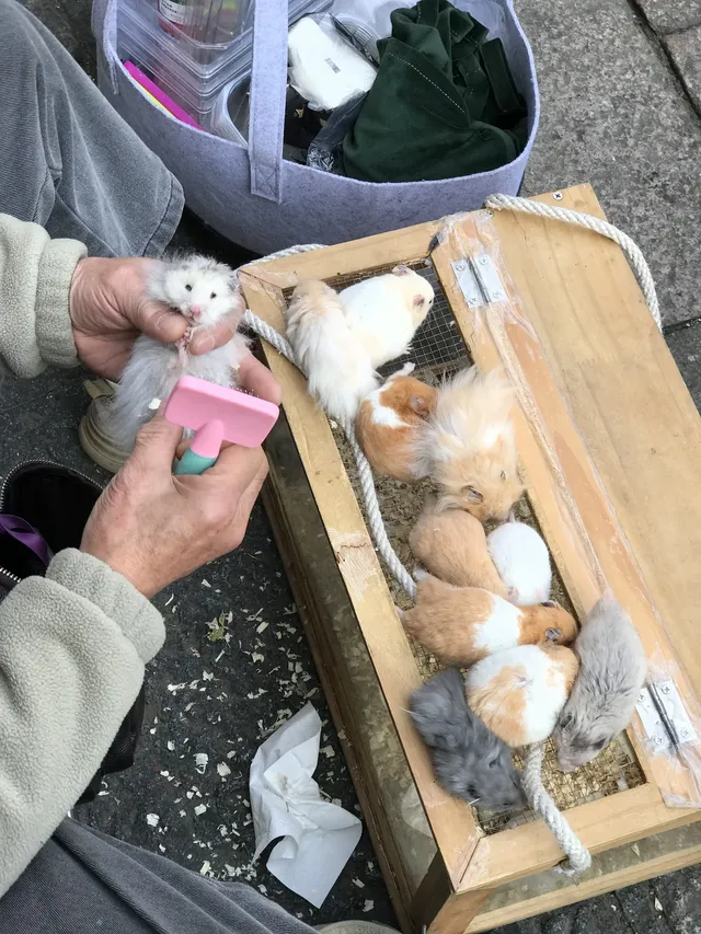 湖州我真要愛上你了...