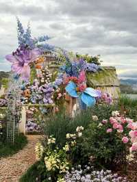 5天玩轉昆明超全攻略速來收藏