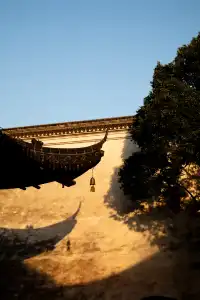 烏鎮什麼時候免門票?