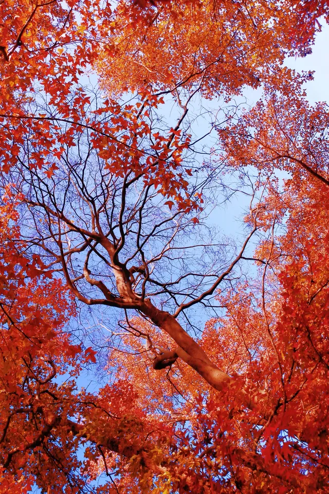 2萬步8小時的棲霞山避開人群拍照姿勢記錄