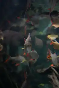 日落前入園！溫室花園日夜場一次看完