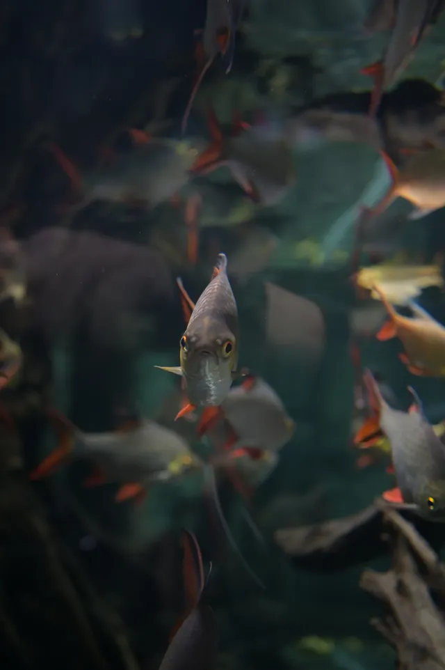 日落前入園！溫室花園日夜場一次看完