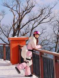 帶娃住進長白山凱悅!12月雪季遛娃天花板