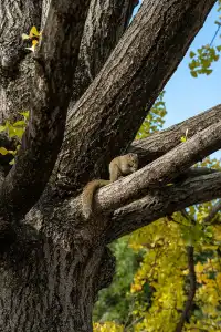 如果冬天只想去一個城市,那就是昆明