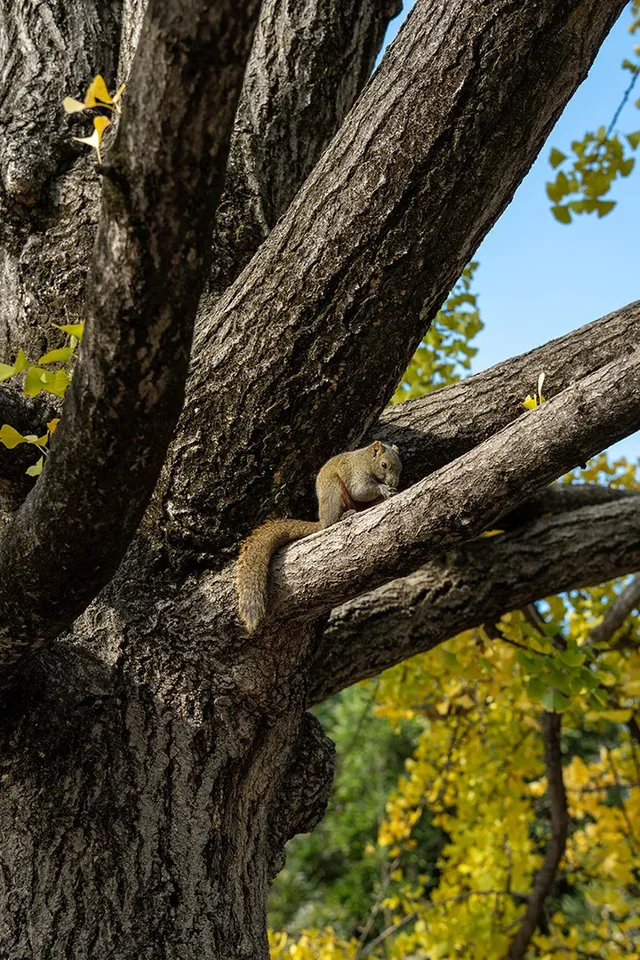 如果冬天只想去一個城市,那就是昆明 如果冬天只想去一個城市,那就是昆明