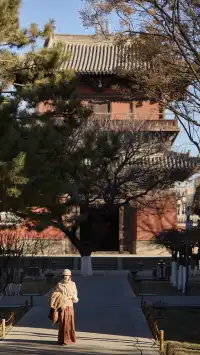 走進善化寺|在這裡接住了一整個冬天的寧靜