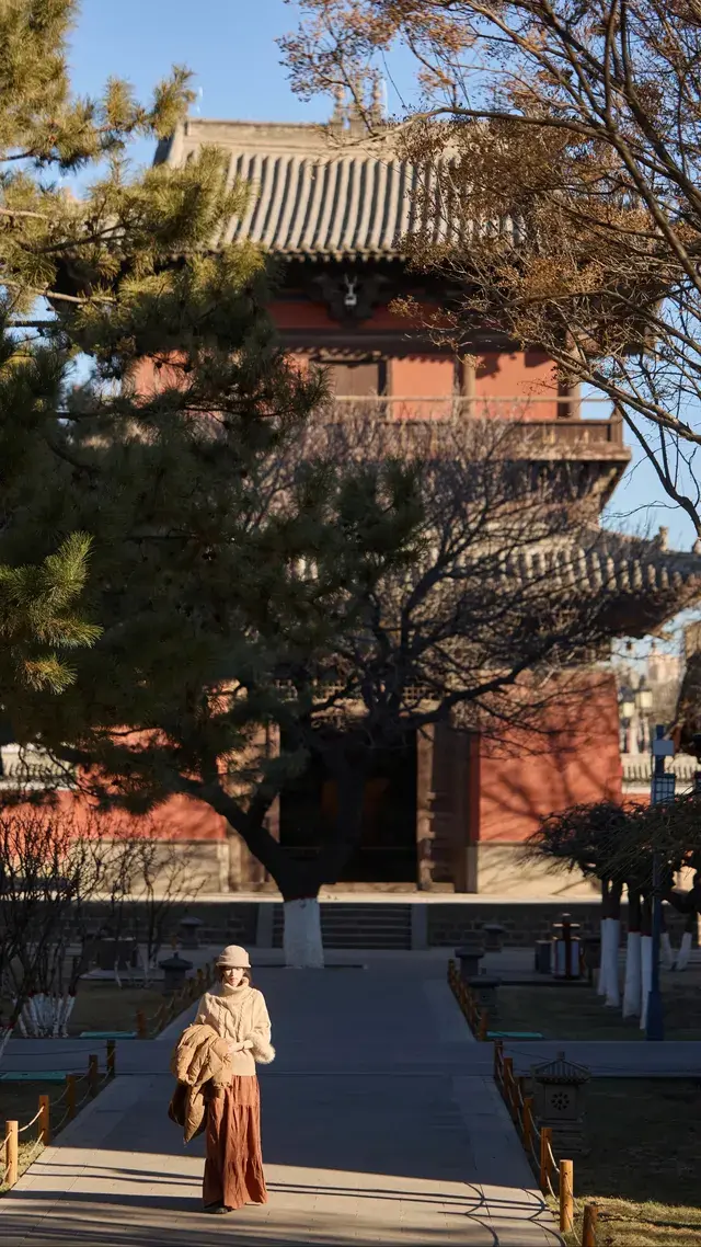 走進善化寺|在這裡接住了一整個冬天的寧靜 走進善化寺|在這裡接住了一整個冬天的寧靜