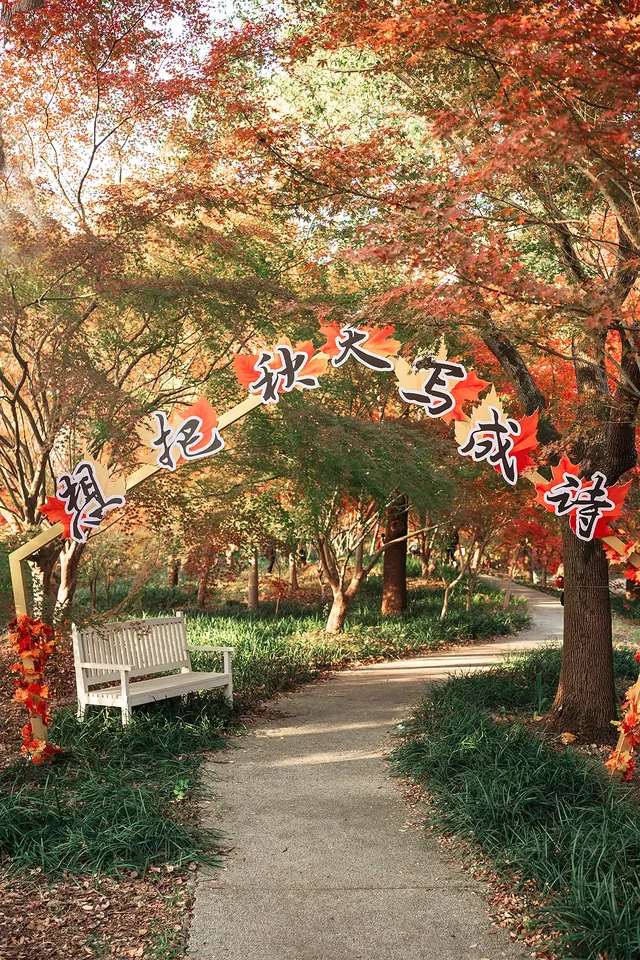 上海這裡的楓葉已經next level！附打卡路線