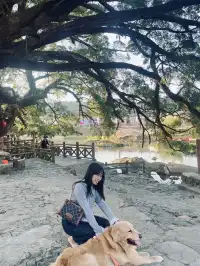 福建雲水謠|帶狗狗走進大魚海棠的童話世界