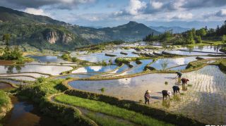 龍脊梯田四季攝影深度遊全攻略 (2-3天)