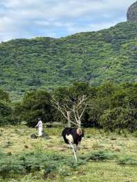 毛里裘斯9大必打卡點!來毛里裘斯必看~