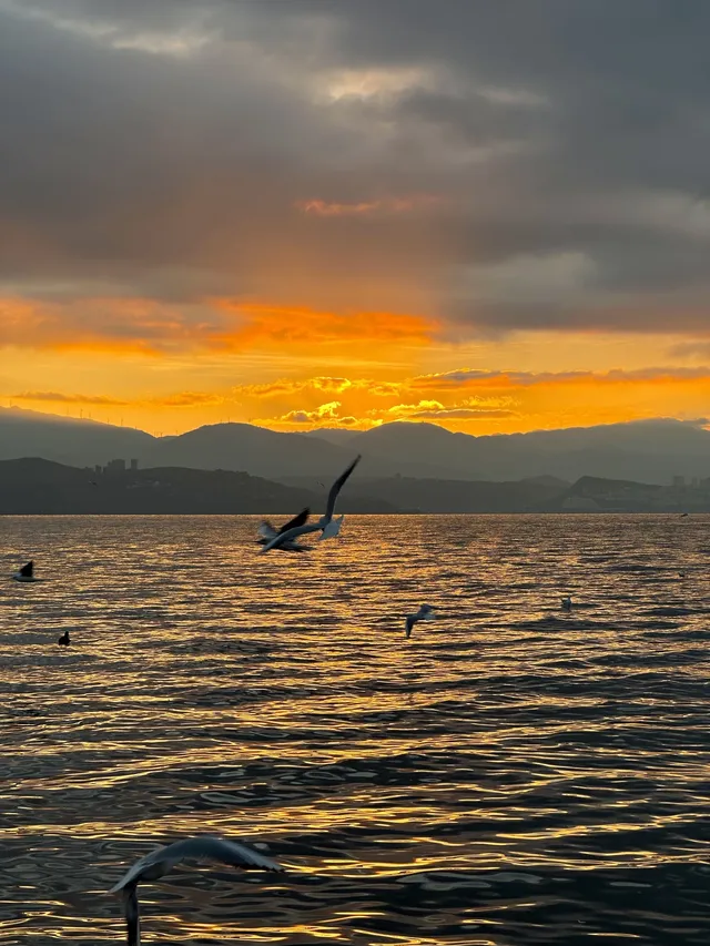 大理!!拍照打卡一定不要錯過的地方!吼吼看 大理!!拍照打卡一定不要錯過的地方!吼吼看
