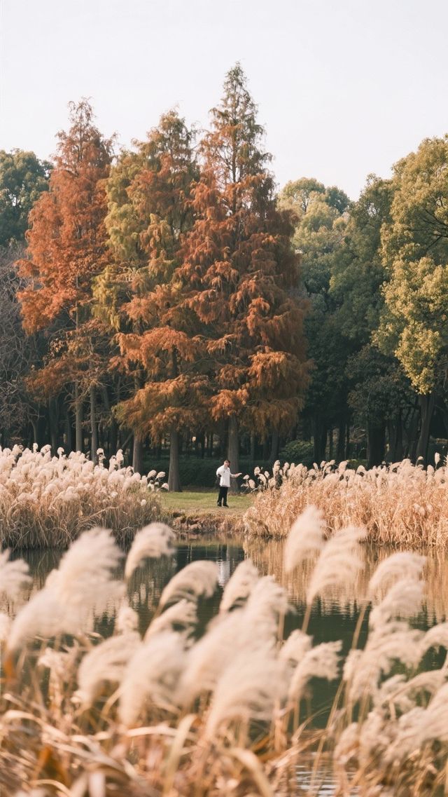 共青森林公園|魔都楊浦的絕美元氣森林 松鼠松鼠快開門! 共青森林公園|魔都楊浦的絕美元氣森林 松鼠松鼠快開門!