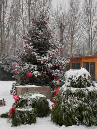 北京初雪在禧園撞進童話鎮啦！