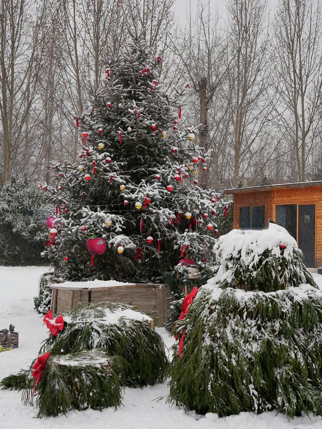 北京初雪在禧園撞進童話鎮啦！