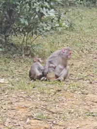 新手徒步路線|城門水塘(附攻略)