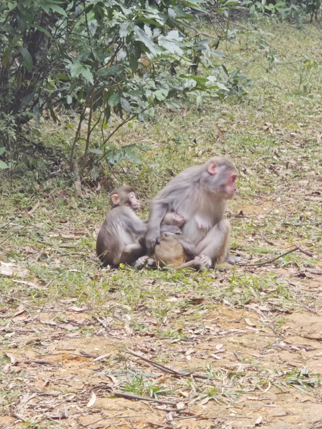 新手徒步路線|城門水塘(附攻略) 新手徒步路線|城門水塘(附攻略)
