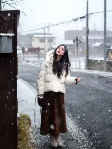 北海道雪又開始下了。