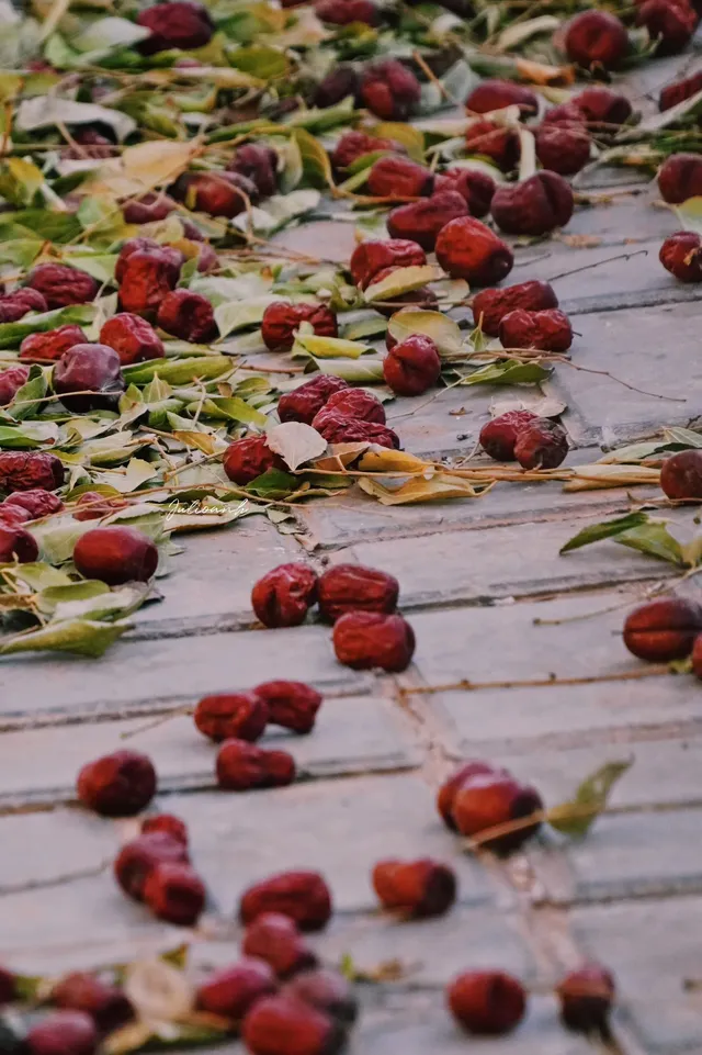 【冬季寧夏】銀川中衛 【冬季寧夏】銀川中衛