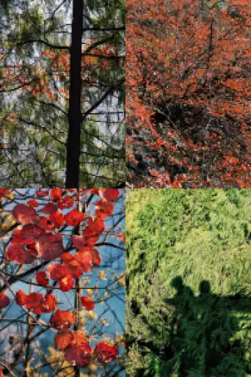 隱山𝟙𝟡|三峽之巔,煙光凝而暮山紫