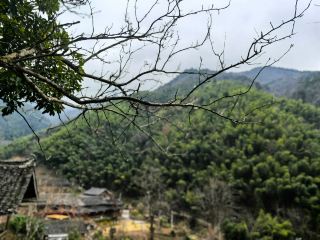 山裡雨天的小確幸瓦片薄荷香薰治癒系民宿