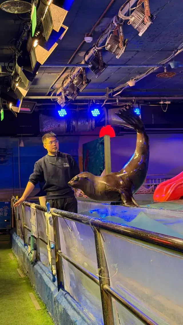 Must-visit for families! Beijing's long-established aquarium takes you back to childhood memories