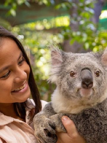 겨울방학 아이와 함께 비수기에 여름을 즐기기 | 호주 가족 여행 가이드 빠르게 예약하기