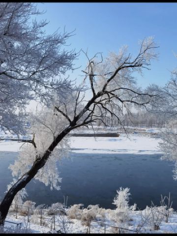 湖南霧淞秘境大公開6處絕美雪景打卡地｜長沙出發