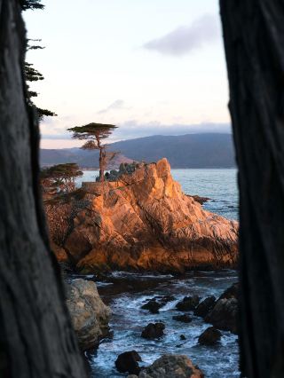 Explore California on Your Own Terms! Customized Private Car Tours with Chinese-Speaking Drivers