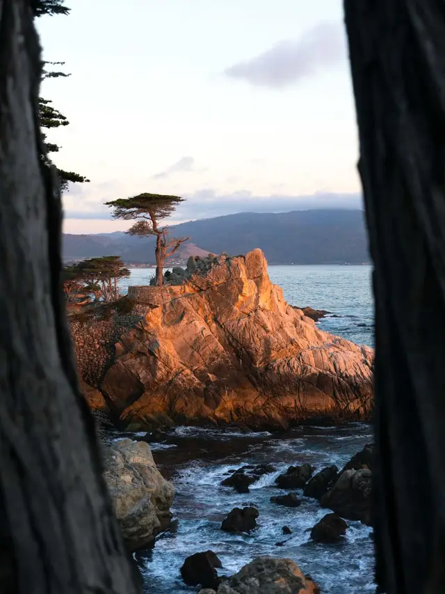 Explore California on Your Own Terms! Customized Private Car Tours with Chinese-Speaking Drivers