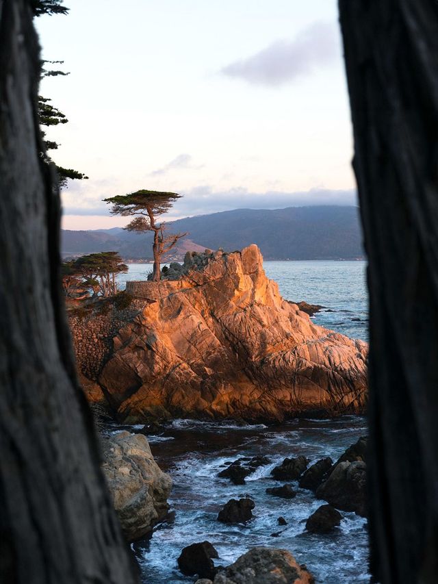 自由行玩轉加州！華人司導定制包車遊