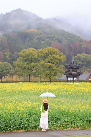 มาชานพื้นที่ชุ่มน้ำที่สวยงามมาก